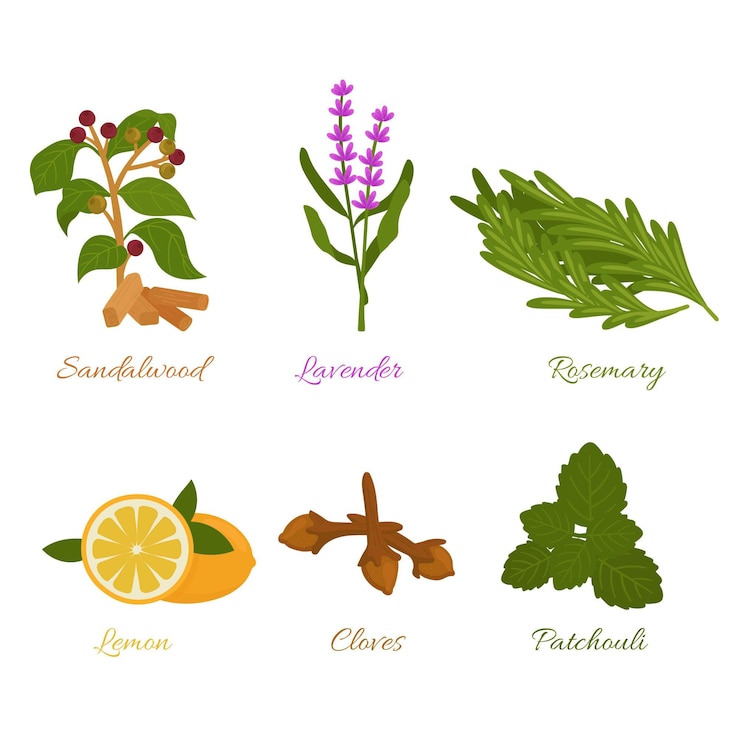 7 Incredible Health and Beauty Advantages of Lemon Balm