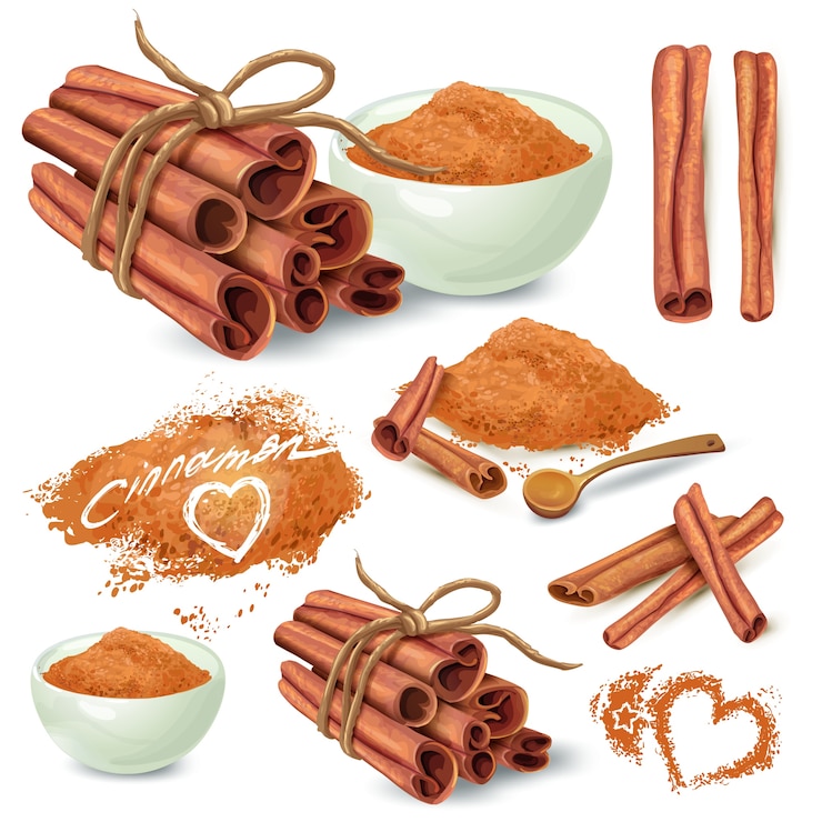 All You Need to Know About Cinnamon