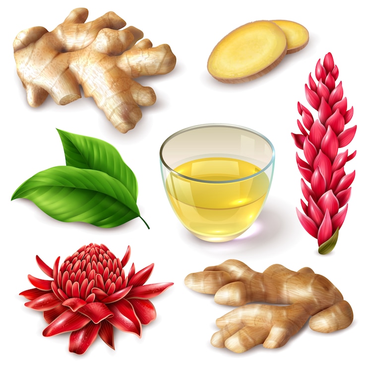 All You Should Know About Ginger