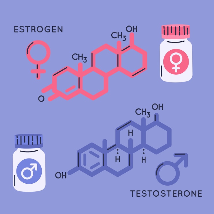 Part 4 of PMS: The Link Between Hormones and Acne